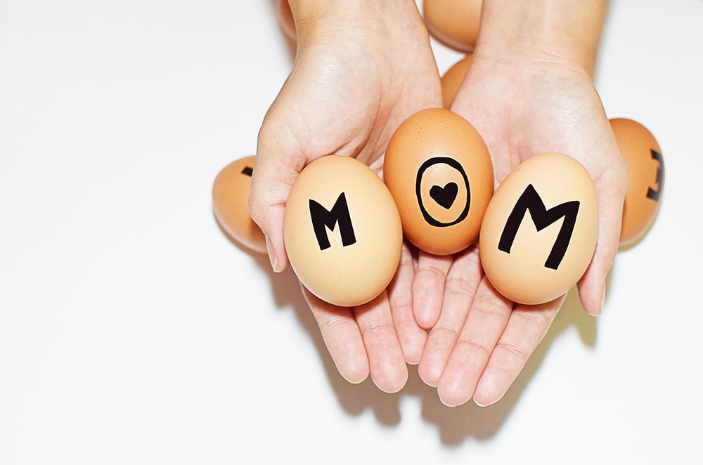 Egg Donation Dashin Reproductive Center